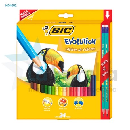 PINTURAS BIC CONTE EVOLUTION C/24 /36