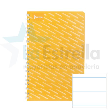 CUAD FRANCES NORMA DO UNICOLOR RAYA 100H 2282 /50