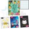 CUAD PROF DO NORMA CLICK GIRLS C.5 100H 582863 /25