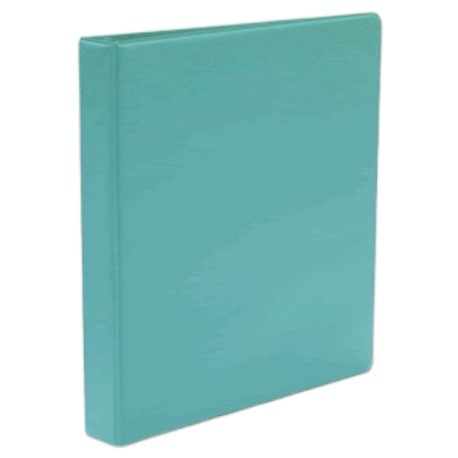 CARPETA T/C WILSON JONES 1 PULG TEENS MENTA C/CRISTAL HER O - P3599 / 12